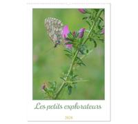 Les petits explorateurs (Calendrier mural 2026 DIN A2 horizontal), CALVENDO calendrier mensuel: Découvrez la magie des insectes !