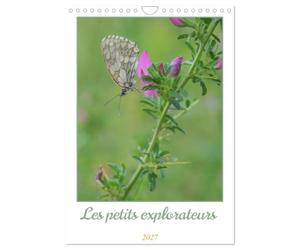 Les petits explorateurs (Calendrier mural 2027 DIN A4 horizontal), CALVENDO calendrier mensuel: Découvrez la magie des insectes !