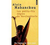 Les Petits-Fils nègres de Vercingétorix