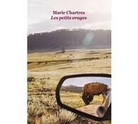 Les petits orages grand format Marie Chartres (Auteur)