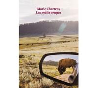 Les petits orages grand format - Marie Chartres - Ecole Des Loisirs - broché - Roman adolescent dès 13 ans