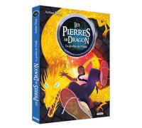 LES PIERRES DE DRAGON TOME 2 - LE GOUFFRE DE L'OUBLI