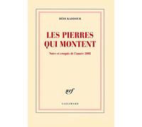 Les pierres qui montent: Notes et croquis de l'année 2008