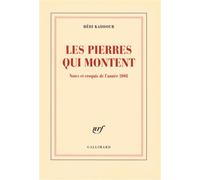 Les pierres qui montent: Notes et croquis de l'année 2008