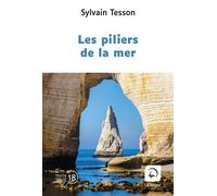 Les piliers de la mer Edition en gros caractères - Sylvain Tesson - De La Loupe - broché - Roman