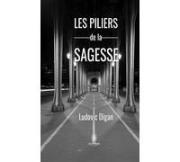 Les piliers de la sagesse - Ludovic Digan - Le Lys Bleu - broché - Essai