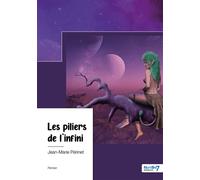 Les piliers de l'infini - Jean-Marie Perinet - Nombre 7 - broché - Récit
