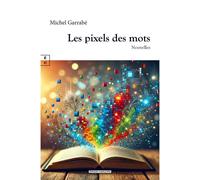 Les pixels des mots - Michel Garrabé - Complicites Eds - relié - Nouvelles