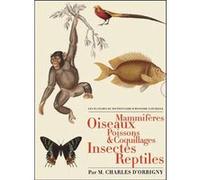 Les planches du Dictionnaire d'Histoire Naturelle - Coffret 5 vol. Charles d'Orbigny (Auteur)