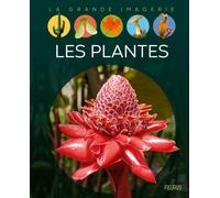 Les plantes