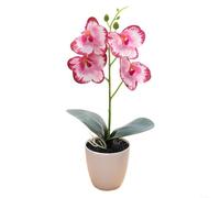 Les plantes artificielles à fleurs d'orchidée cultivées en pots font de superbes centres de table lors d'événements sans tracas d'entretien (E)