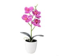 Les plantes artificielles à fleurs d'orchidée cultivées en pots font de superbes centres de table lors d'événements sans tracas d'entretien (D)