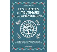 Les plantes des Toltèques et des Amérindiens: Symbolisme, pouvoirs magiques et bienfaits des plantes médicinales