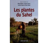 Les Plantes Du Sahel - Usages Et Enjeux Sociaux