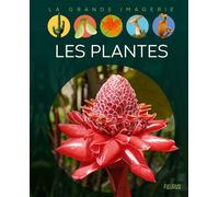 Les plantes - Sabine Boccador - Fleurus - cartonné - Document jeunesse