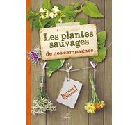 Les plantes sauvages de nos campagnes