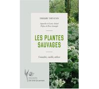 Les plantes sauvages - Thierry Thévenin - Les Mots Qui Portent - broché - Guide