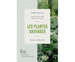 Les plantes sauvages - Thierry Thévenin - Les Mots Qui Portent - broché - Guide