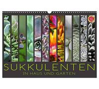 Les plantes succulentes dans la maison et le jardin, Version française (Calendrier mural 2026 DIN A3 portrait), Calendrier CALVENDO mensuel