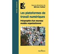 Les plateformes de travail numériques