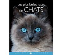 Les plus belles races de chats