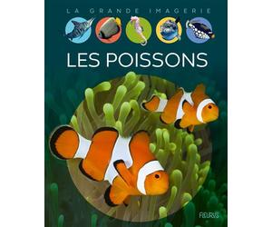 Les poissons - Renée Le Bloas-Julienne - Fleurus - cartonné - Document jeunesse