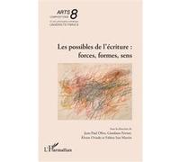 Les possibles de l’écriture : forces, formes, sens Jean-Paul Olive (Collection dirigée par), Giordano Ferrari (Collection dirigée par), Alvaro Oviedo (Collection dirigée par), Fabien San Martin (Colle