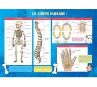 Les posters de l'école : Le Corps humain