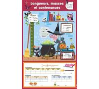 Les Posters effaçables - Longueurs, masses et contenances - Nicolas Francescon - Bordas - Scolaire / Universitaire