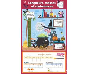 Les Posters effaçables - Longueurs, masses et contenances - Nicolas Francescon - Bordas - Scolaire / Universitaire