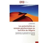 Les potentialités en energie géothermique au sud d'Est de l'Algerie Contribution a la valorisation de l'énergie géothermique applications a la région de Ouargla - Moussa Zerrouki - Universitaires Euro