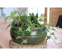 LES POTERIES D'ALBI-Coupe en terre émaillée coloris vert Les Poteries d'Albi Melilo - diamètre 24 x H 11 cm