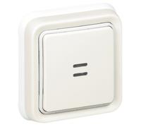 Legrand - Poussoir lumineux à bascule Plexo - Blanc
