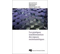 Les Pratiques Transformatrices Des Espaces Socionumériques