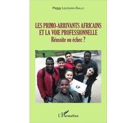 Les Primo-Arrivants Africains Et La Voie Professionnelle - Réussite Ou Échec ?