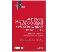 Les Principes Directeurs Du Procès Civil En Droit Comparé À L'aune De La Pensée De Motulsky - Journées Multilatérales De L'association Henri Capitant