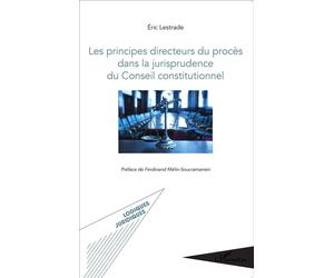 Les principes directeurs du procès dans la jurisprudence du Conseil constitutionnel - Eric Lestrade - L'harmattan - broché - Etude