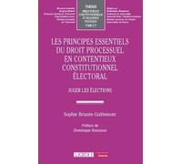 Les Principes Essentiels Du Droit Processuel En Contentieux Constitutionnel Électoral