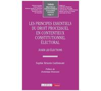 Les Principes Essentiels Du Droit Processuel En Contentieux Constitutionnel Électoral - Juger Les Élections