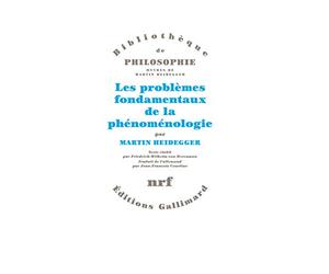 Les problèmes fondamentaux de la phénoménologie