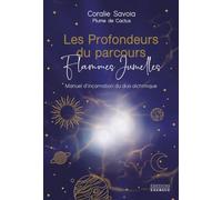 Les Profondeurs Du Parcours Flammes Jumelles - Manuel D'incarnation Du Duo Alchimique