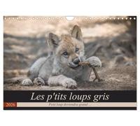 Les p'tits loups gris (Calendrier mural 2026 DIN A4 horizontal), CALVENDO calendrier mensuel