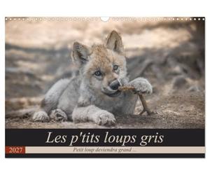 Les p'tits loups gris (Calendrier mural 2027 DIN A3 vertical), CALVENDO calendrier mensuel: Petit loup deviendra grand ...