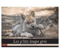 Les p'tits loups gris (Calendrier mural 2027 DIN A4 vertical), CALVENDO calendrier mensuel: Petit loup deviendra grand ...