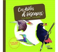 Les p'tits secrets des drôles d'oiseaux