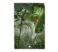 Les puzzles de scène de forêt tropicale sont adaptés pour les adultes, les garçons et les filles. Puzzle de 1000 pièces