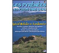 LES PYRENEES LES PIEDS DANS L'EAU - Spécial Balades et Randonnées Spécial balades et randonnées - Gérard Melines - Henri Goursau - broché - Guide