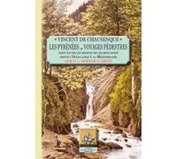 Les Pyrénées Ou Voyages Pédestres T,4 , Sources De La Garonne Chausenque, Vincent De (Auteur)