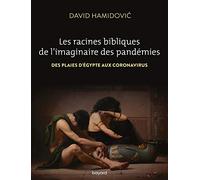 Les racines bibliques de l'imaginaire des pandémies