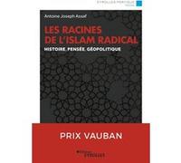 Les racines de l'islam radical Antoine Joseph Assaf (Auteur)